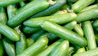 How To Identify Cucumber Plants