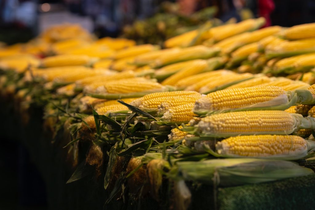 corn on the cob are being sold at a market