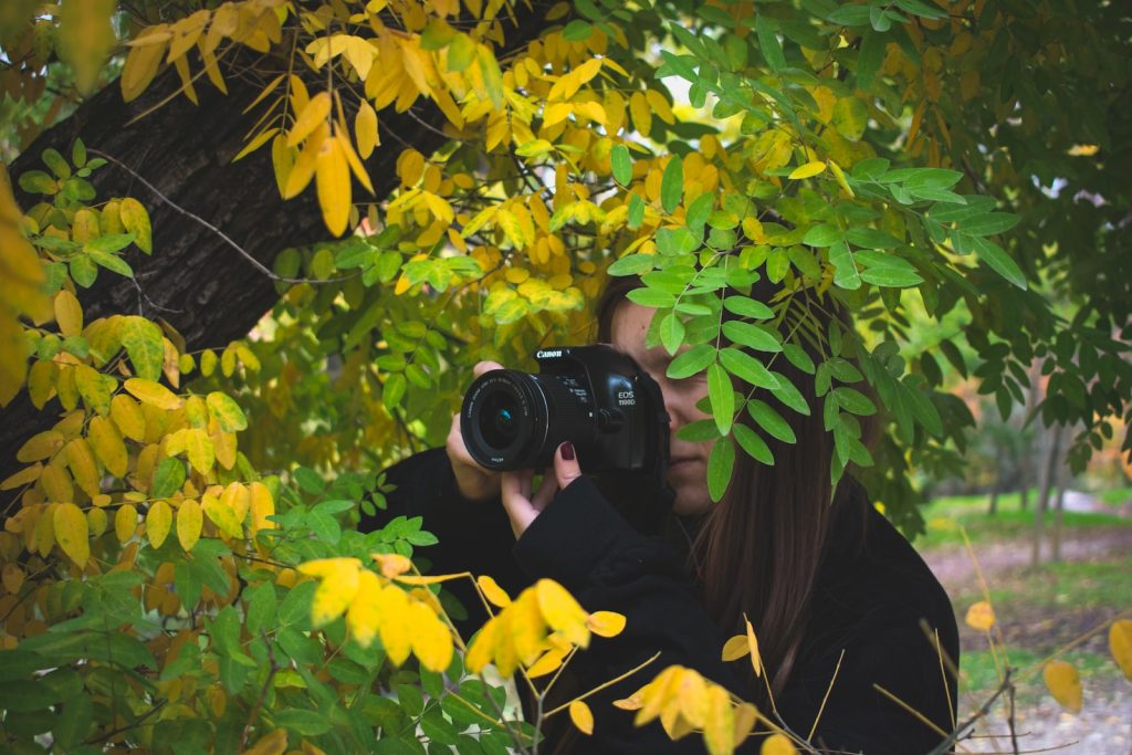 woman taking photo beside tree